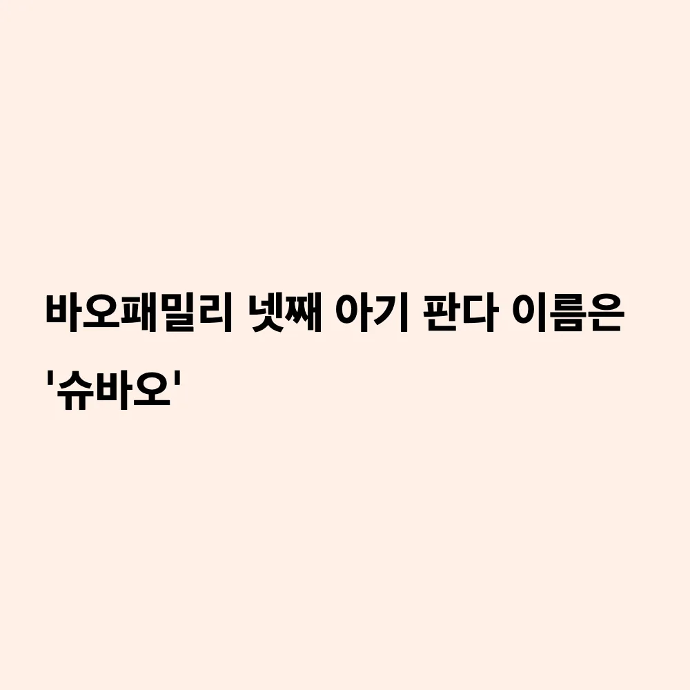 에버랜드 바오패밀리 막내 아기 판다 '슈바오' 이름 확정: 뜻과 현재 성장 상태 총정리