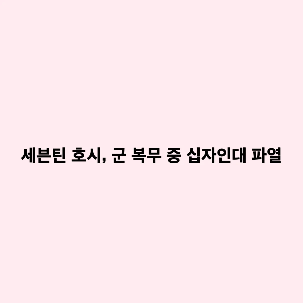 세븐틴 호시 전방십자인대 완전 파열 부상: 부상 경위와 향후 일정(지상군 페스티벌) 정리