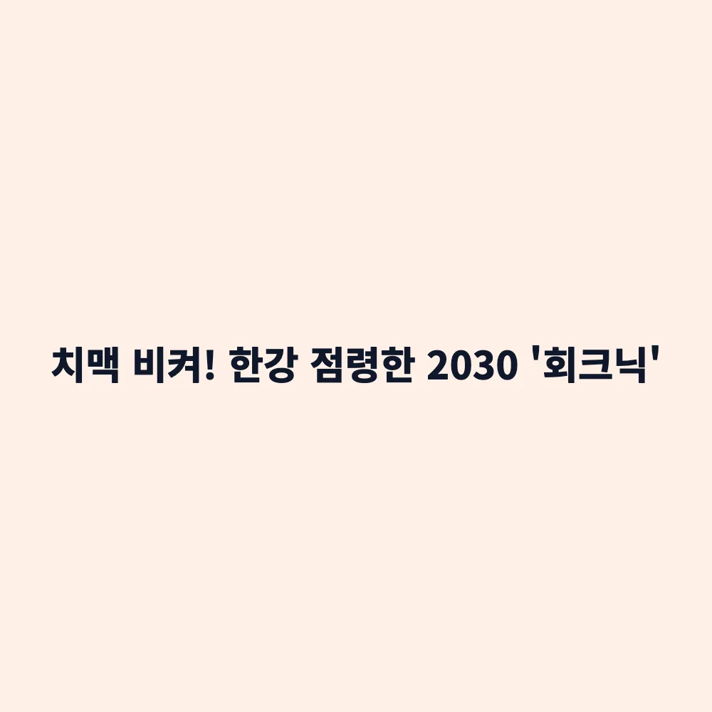 한강 피크닉 트렌드: 치맥 대신 '회크닉(회+피크닉)' 2030 유행 이유와 꿀팁 총정리